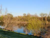 Imagine atasata: aaa (1).jpg